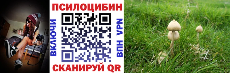Галлюциногенные грибы Psilocybe  omg зеркало  Валуйки 
